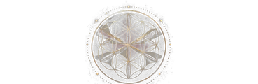 Noventus Creative emblem